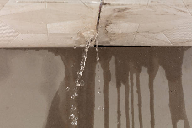 Professional Water Damage Inspection technician working in Newburg, WI